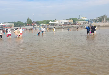 刘家湾赶海园第 42 张图片