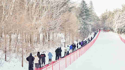 净月潭滑雪场第 55 张图片