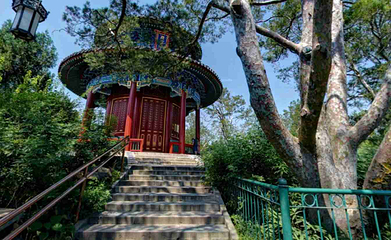 景山公园第 42 张图片