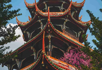 望江楼公园第 26 张图片