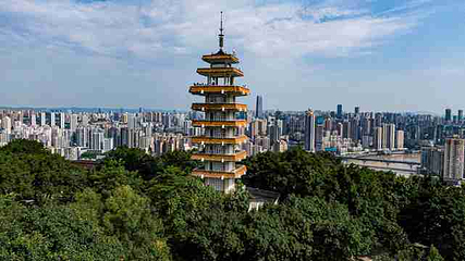 鹅岭公园第 52 张图片