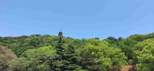 南通狼山风景名胜区第 47 张图片