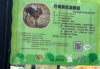 大连森林动物园第 133 张图片