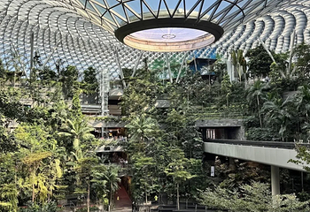 星耀樟宜第 130 张图片