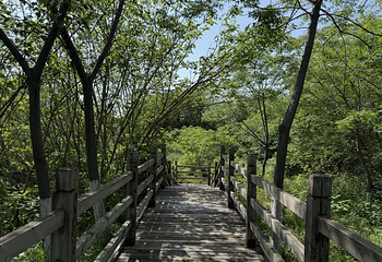 汉城湖景区第 37 张图片