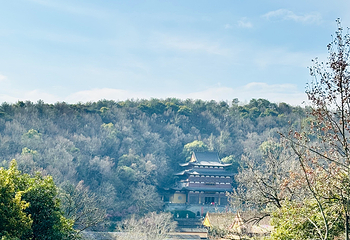 西湖风景名胜区第 337 张图片