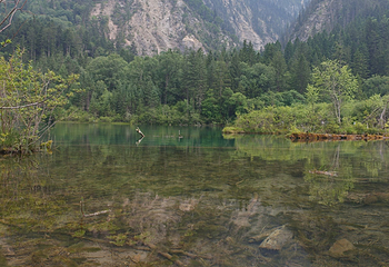 九寨沟风景区第 624 张图片