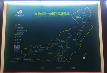 临春岭森林公园第 41 张图片