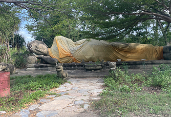 暹罗古城第 231 张图片