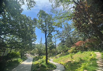 崂山风景区第 180 张图片
