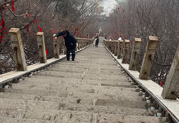 老君山景区第 156 张图片