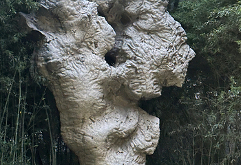 趵突泉景区第 306 张图片