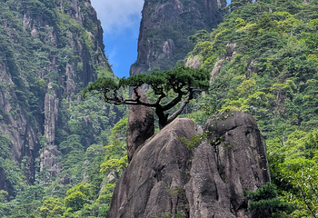 黄山风景区第 129 张图片