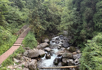 瓦屋山景区第 75 张图片