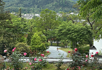 宏村景区第 559 张图片