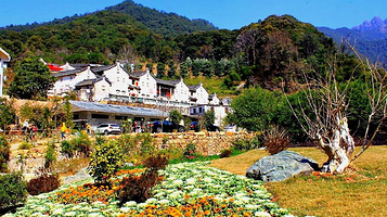 雁南飞茶田景区-桥溪古韵