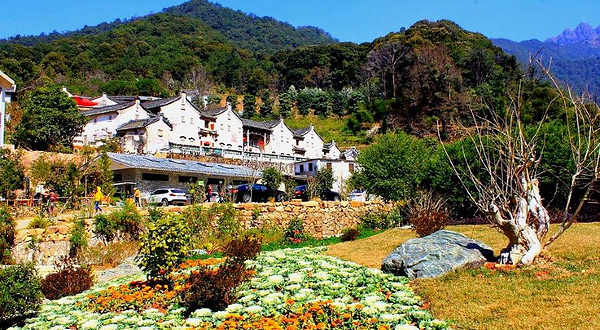 雁南飞茶田景区-桥溪古韵