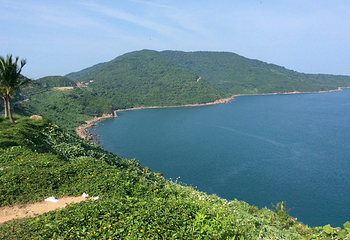 山茶半岛第 28 张图片