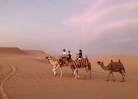 阿布扎比晚间沙漠之旅