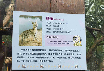 上海动物园第 162 张图片