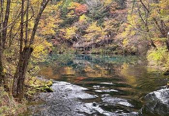 九寨沟风景区第 626 张图片