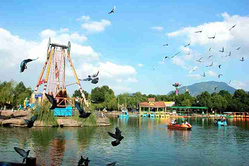 温州乐园旅游度假区第 7 张图片