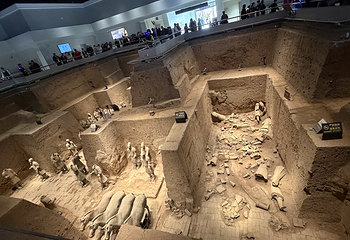 秦始皇帝陵博物院(兵马俑)第 498 张图片