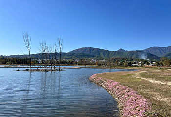 宏村景区第 496 张图片