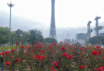 花城广场第 80 张图片