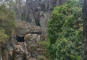 石林风景区第 295 张图片