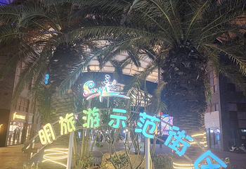 三亚海昌梦幻海洋不夜城第 117 张图片