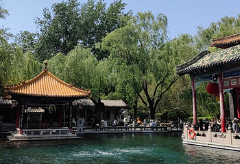趵突泉景区第 210 张图片