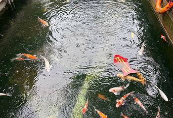 趵突泉景区第 255 张图片