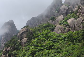 黄山风景区第 265 张图片
