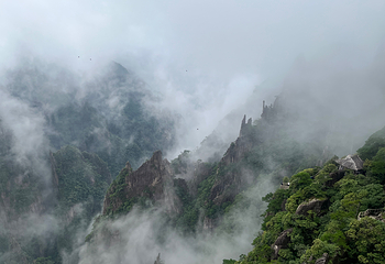 黄山风景区第 171 张图片