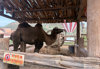 兰州水墨丹霞旅游景区第 189 张图片