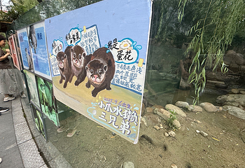 上海动物园第 135 张图片