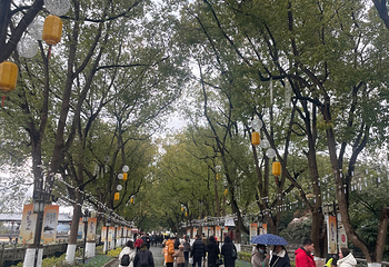 金山第 93 张图片
