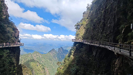 莽山旅游区国家森林公园第 55 张图片