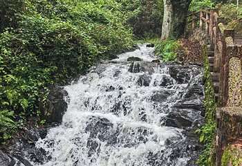 阁皂山风景名胜区第 17 张图片
