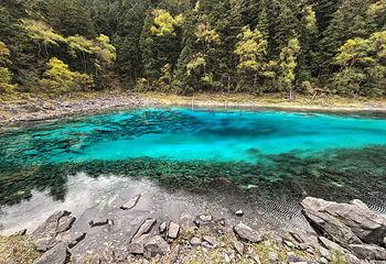 九寨沟风景区第 307 张图片