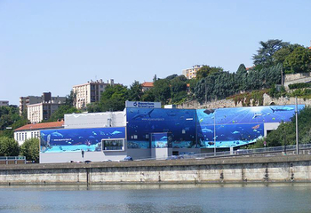 里昂水族馆第 1 张图片