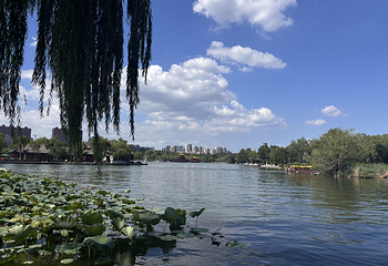 大明湖景区第 37 张图片