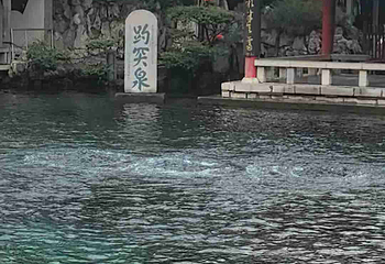 趵突泉景区第 318 张图片