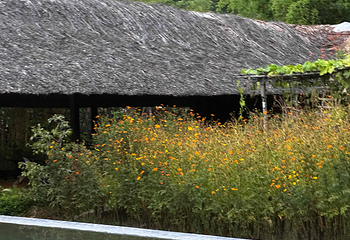 芽庄I-Resort温泉旅游区第 33 张图片