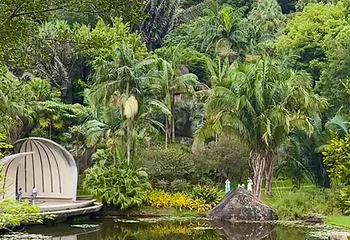 厦门园林植物园第 65 张图片