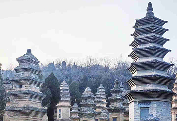 嵩山少林景区第 46 张图片