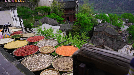 婺源篁岭景区第 202 张图片