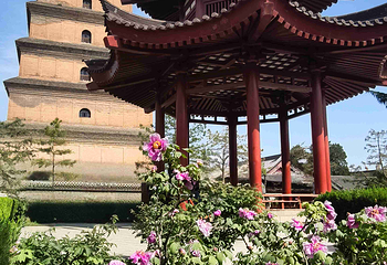 大慈恩寺第 16 张图片