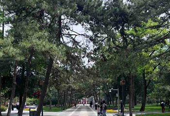 日坛公园第 101 张图片